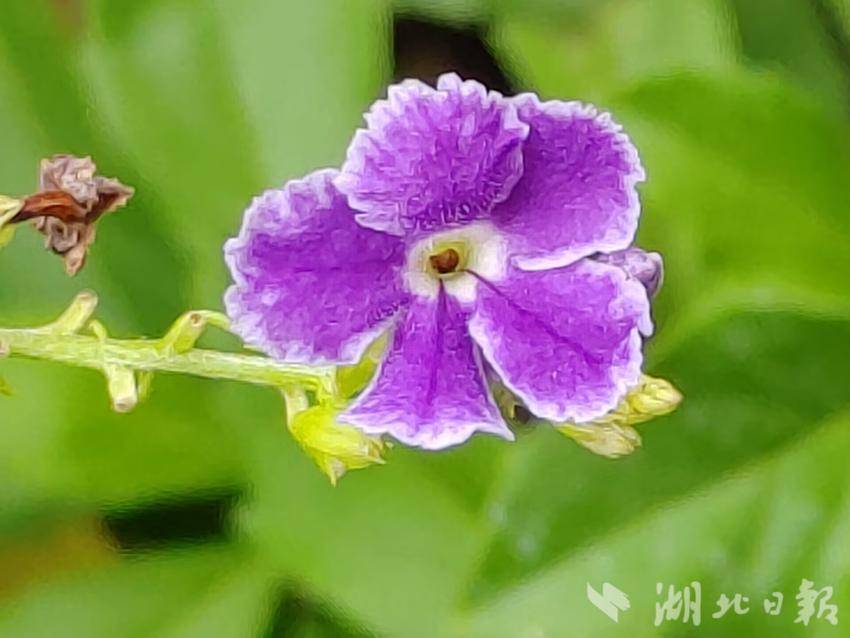 澳彩网澳彩网手机版